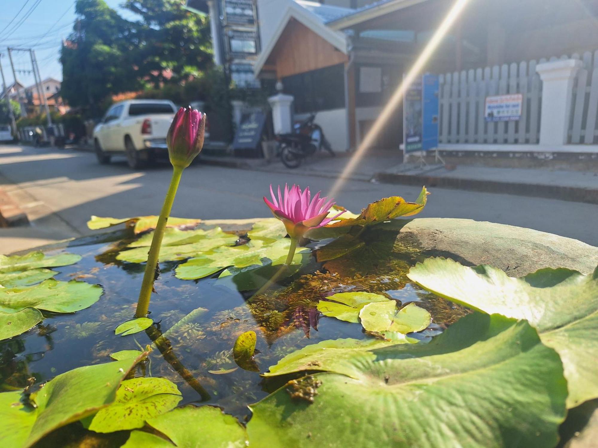 Villa Khounsok Sunset 루앙프라방 외부 사진